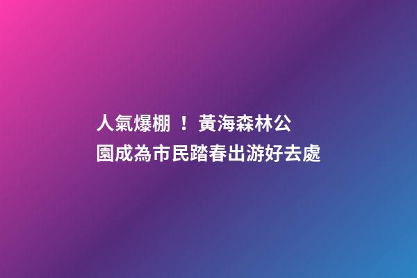 人氣爆棚！黃海森林公園成為市民踏春出游好去處